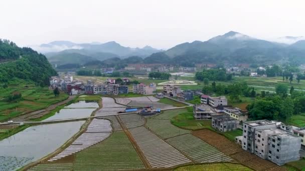 Vista Aerea Campi Riso Verde Verdure Povero Villaggio Cina Asia — Video Stock