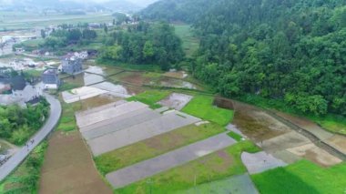 Çin, Asya 'da yoksul köyde havadan görünüm, yeşil pirinç ve sebze tarlaları. Dağ & kırsal köydeki çalışanlar ile birlikte teraslanmış pirinç ve tarla çiftliği. Geleneksel tarım ve sürdürülebilir gelişim