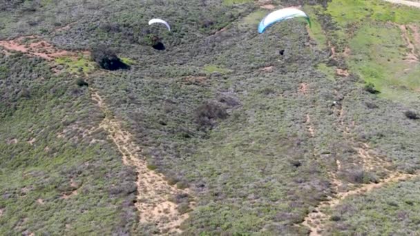 Gleitschirm Über Dem Gipfel Des Berges Einem Sonnigen Sommertag Gleitschirm — Stockvideo