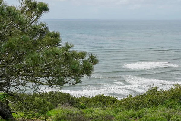 Pohled Moře Vrcholu Hory Point Loma Poloostrova Ústí Zálivu San — Stock fotografie