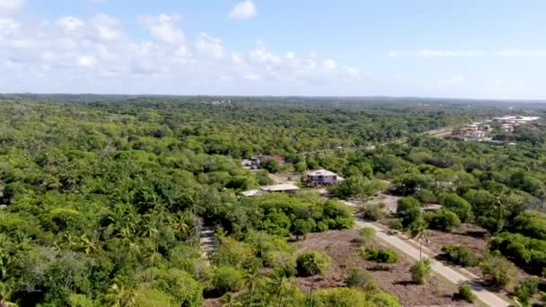 Vista Aérea Floresta Tropical Selva Praia Forte Brasil Vista Aérea — Vídeo de Stock