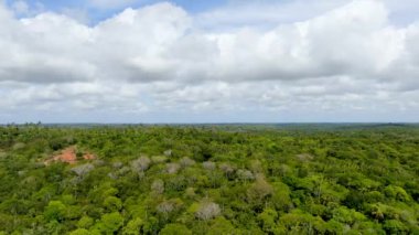 Tropikal orman, ormanda Praia yapmak Forte, Brezilya Hava görünümünü. Yemyeşil ağaçlar eğrelti otları ve avuç içi destekleyen bir orman ayrıntılı hava görünümünü. dağ ve tepeler tarafından herdem yeşil orman kaplı.