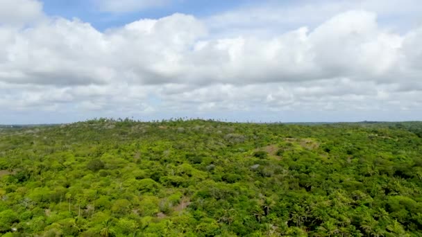 Vista Aérea Floresta Tropical Selva Praia Forte Brasil Vista Aérea — Vídeo de Stock