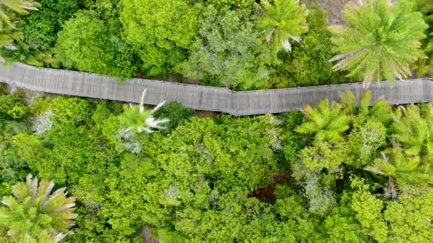 Αεροφωτογραφία Του Δασώδη Γέφυρα Πάνω Από Τροπικό Δάσος Ξύλινη Γέφυρα — Αρχείο Βίντεο