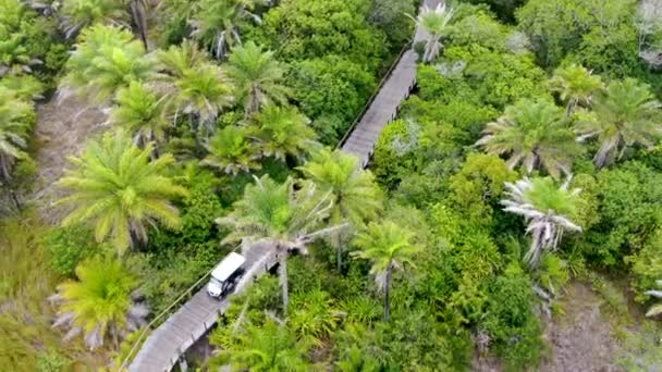 Vista Aérea Del Puente Arbolado Sobre Bosque Tropical Pasarela Puente — Vídeos de Stock