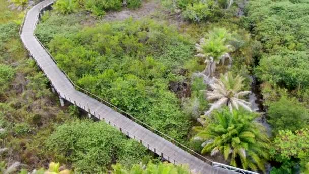 Vista Aérea Del Puente Arbolado Sobre Bosque Tropical Pasarela Puente — Vídeos de Stock