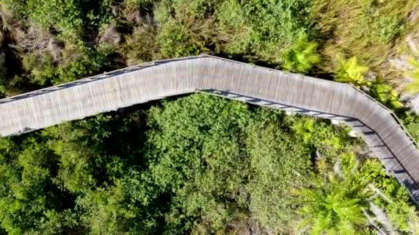 Vue aérienne du pont boisé sur la forêt tropicale. Passerelle de pont en bois dans la forêt tropicale abritant fougères et palmiers luxuriants pendant l'été chaud et ensoleillé. Praia do Forte, Brésil 