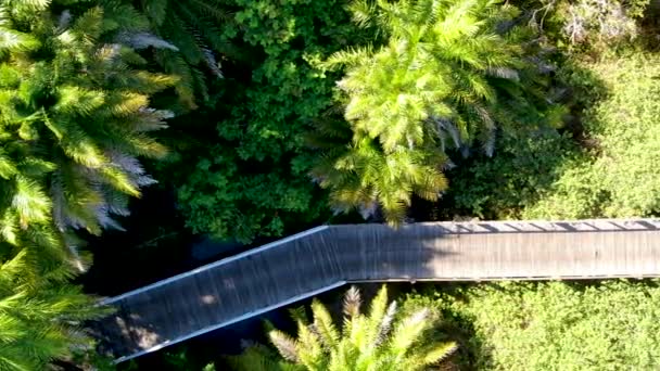 Vue aérienne du pont boisé sur la forêt tropicale. Passerelle de pont en bois dans la forêt tropicale abritant fougères et palmiers luxuriants pendant l'été chaud et ensoleillé. Praia do Forte, Brésil 