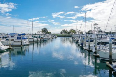 Embarcadero Marina Park Kuzey, San Diego demirlemiş tekneler. Tekne, yatlar, gemi ve yelken limana demirledi. Demirli lüks tekneler ile Marina. California. Abd.