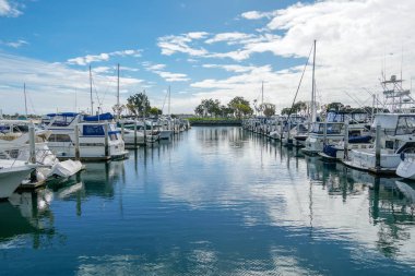 Embarcadero Marina Park Kuzey, San Diego demirlemiş tekneler. Tekne, yatlar, gemi ve yelken limana demirledi. Demirli lüks tekneler ile Marina. California. Abd.