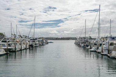 Embarcadero Marina Park Kuzey, San Diego demirlemiş tekneler. Tekne, yatlar, gemi ve yelken limana demirledi. Demirli lüks tekneler ile Marina. California. Abd.