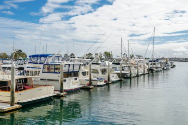 Embarcadero Marina Park Kuzey, San Diego demirlemiş tekneler. Tekne, yatlar, gemi ve yelken limana demirledi. Demirli lüks tekneler ile Marina. California. Abd.