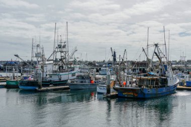 Ticari balıkçı tekneleri San Diego Harbor 'da yerleştirilmiş. Balık Limanı Iskelesi San Diego 'nun şehir merkezinde, liman köyünün bitişiğinde yer almaktadır. Kaliforniya, ABD