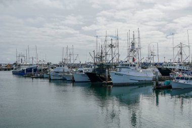 Ticari balıkçı tekneleri San Diego Harbor 'da yerleştirilmiş. Balık Limanı Iskelesi San Diego 'nun şehir merkezinde, liman köyünün bitişiğinde yer almaktadır. Kaliforniya, ABD