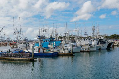 Ticari balıkçı tekneleri San Diego Harbor 'da yerleştirilmiş. Balık Limanı Iskelesi San Diego 'nun şehir merkezinde, liman köyünün bitişiğinde yer almaktadır. Kaliforniya, ABD