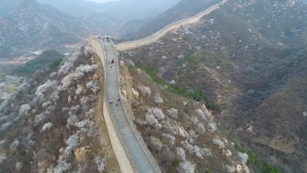 在寒冷的早晨 在雾蒙蒙的日子里 中国长城的鸟图 著名地标性长城和山脉位于北京旁边的八达岭 — 图库视频影像