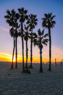 Santa Monica Beach, Los Angeles, California avuç içi ile günbatımı görünümü. Abd. Sahilde gün batımı palmiye ağaçları. Renkli alacakaranlık gökyüzünde siluet palmiye ağaçları.