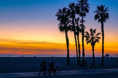 Santa Monica Beach, Los Angeles, California avuç içi ile günbatımı görünümü. Abd. Sahilde gün batımı palmiye ağaçları. Renkli alacakaranlık gökyüzünde siluet palmiye ağaçları.