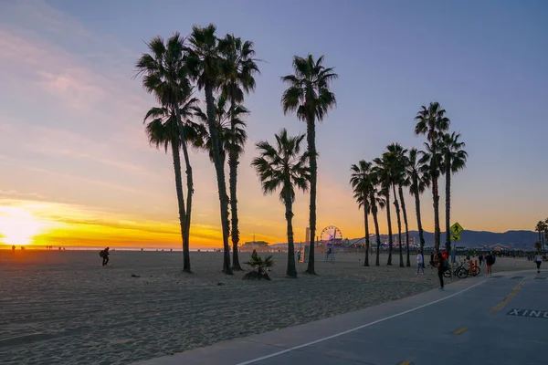 Захід Сонця Вид Долонями Санта Моніка Біч Лос Анджелес Каліфорнія — стокове фото