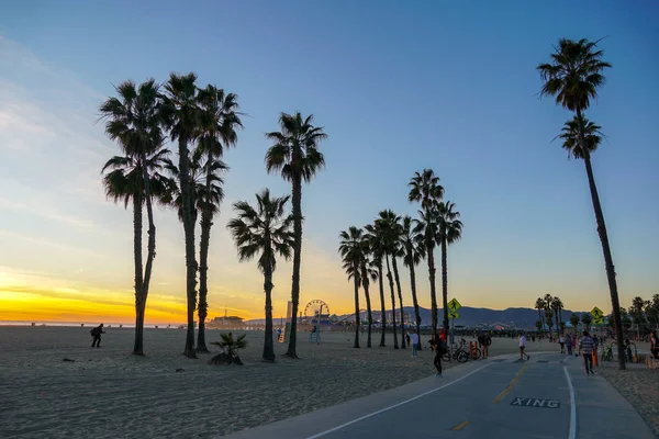 Coucher Soleil Avec Palmiers Santa Monica Beach Los Angeles Californie — Photo