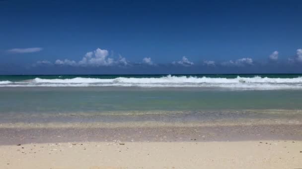 Tropisch Zee Strand Uitzicht Oceaan Een Oceaankust Breken Vooraanzicht Kleine — Stockvideo