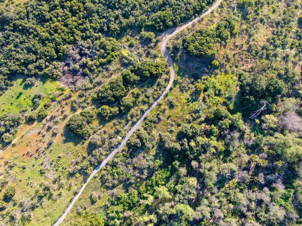 Aerial view of hiking sandy trails in dry green mountain during sunny cloudy day, perfect for sport activity and leisure time.