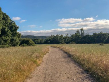Güneşli bir gün boyunca yeşil dağ ormanı alanında doğal kir yolu. Yeşil alanda kumlu yol izi. Bahar mevsimi. Los Peasquitos Kanyon Koru