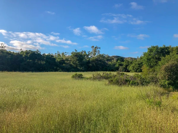 stock image Natural green field during sunny day. Spring season. Los Peasquitos Canyon Preserve