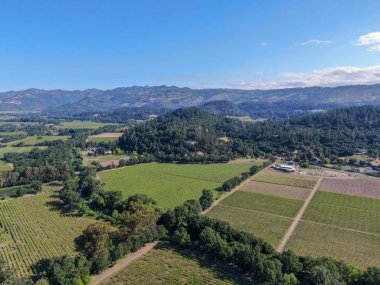 Yaz sezonunda Napa Vadisi'ndeki şarap bağının havadan görünümü. Napa County, Kaliforniya'nın Şarap Ülkesi, San Francisco Bay Area North Bay bölgenin bir parçası. Üzüm bağları manzara.