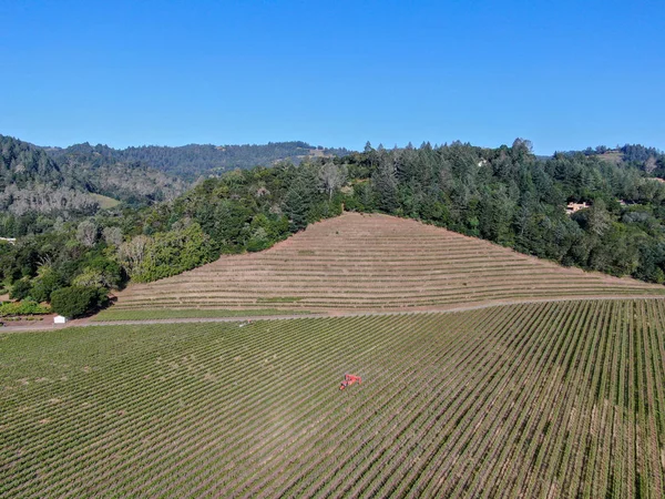 夏のシーズン中にナパバレーのワインブドウ園の航空写真 カリフォルニア州ワインカントリーのナパ郡は サンフランシスコベイエリアのノースベイ地域の一部です ブドウ園の風景 — ストック写真