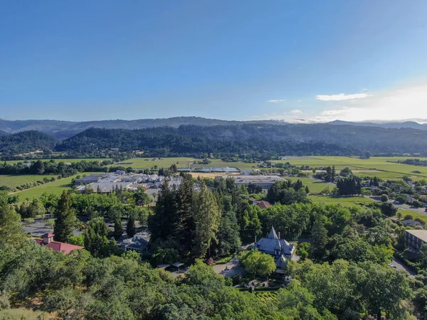 Aerial view of wine vineyard in Napa Valley during summer season. Napa County, in California's Wine Country, part of the North Bay region of the San Francisco Bay Area. Vineyards landscape.