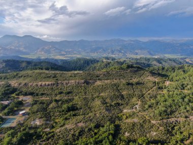 Yaz sezonunda Napa Vadisi 'nde ağaçlar ile yemyeşil tepelerin havadan görünümü. Napa Ilçesi, Californias şarap ülkesi, San Francisco Körfezi bölgesi 'nin Kuzey Körfezi bölgesinin bir parçasıdır. Bağ alanı.