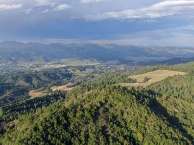 Yaz sezonunda Napa Vadisi 'nde ağaçlar ile yemyeşil tepelerin havadan görünümü. Napa Ilçesi, Californias şarap ülkesi, San Francisco Körfezi bölgesi 'nin Kuzey Körfezi bölgesinin bir parçasıdır. Bağ alanı.