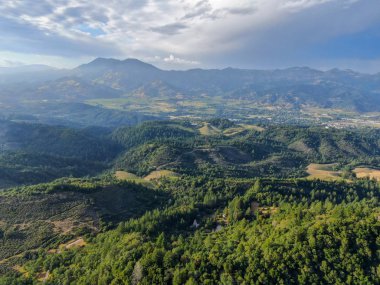 Yaz sezonunda Napa Vadisi 'nde ağaçlar ile yemyeşil tepelerin havadan görünümü. Napa Ilçesi, Californias şarap ülkesi, San Francisco Körfezi bölgesi 'nin Kuzey Körfezi bölgesinin bir parçasıdır. Bağ alanı.