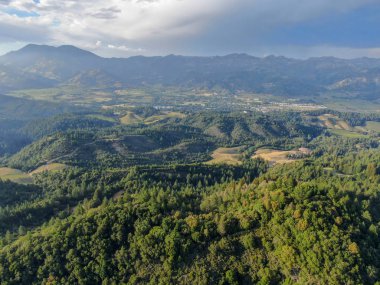 Yaz sezonunda Napa Vadisi 'nde ağaçlar ile yemyeşil tepelerin havadan görünümü. Napa Ilçesi, Californias şarap ülkesi, San Francisco Körfezi bölgesi 'nin Kuzey Körfezi bölgesinin bir parçasıdır. Bağ alanı.