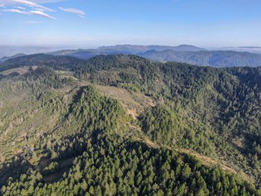 Yaz sezonunda Napa Vadisi 'nde ağaçlar ile yemyeşil tepelerin havadan görünümü. Napa Ilçesi, Californias şarap ülkesi, San Francisco Körfezi bölgesi 'nin Kuzey Körfezi bölgesinin bir parçasıdır. Bağ alanı.