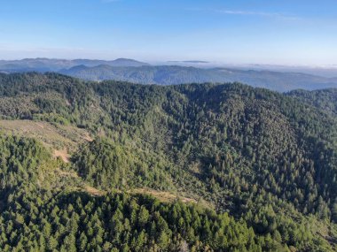Yaz sezonunda Napa Vadisi 'nde ağaçlar ile yemyeşil tepelerin havadan görünümü. Napa Ilçesi, Californias şarap ülkesi, San Francisco Körfezi bölgesi 'nin Kuzey Körfezi bölgesinin bir parçasıdır. Bağ alanı.