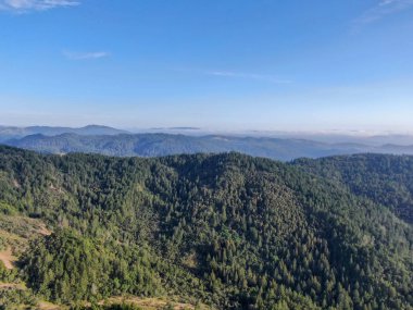 Yaz sezonunda Napa Vadisi 'nde ağaçlar ile yemyeşil tepelerin havadan görünümü. Napa Ilçesi, Californias şarap ülkesi, San Francisco Körfezi bölgesi 'nin Kuzey Körfezi bölgesinin bir parçasıdır. Bağ alanı.