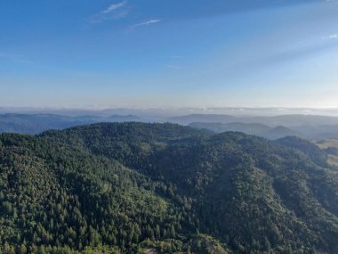 Yaz sezonunda Napa Vadisi 'nde ağaçlar ile yemyeşil tepelerin havadan görünümü. Napa Ilçesi, Californias şarap ülkesi, San Francisco Körfezi bölgesi 'nin Kuzey Körfezi bölgesinin bir parçasıdır. Bağ alanı.