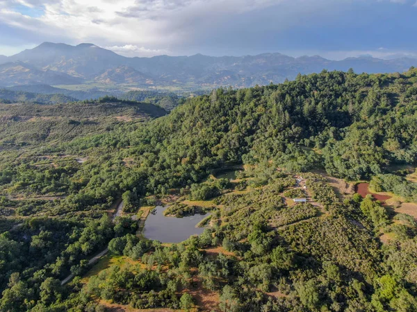 Vista Aérea Das Colinas Verdejantes Com Árvores Vale Napa Durante — Fotografia de Stock