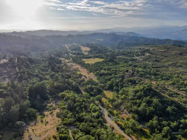 Vista Aérea Das Colinas Verdejantes Com Árvores Vale Napa Durante — Fotografia de Stock