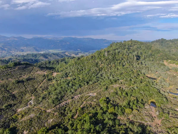 Vista Aérea Das Colinas Verdejantes Com Árvores Vale Napa Durante — Fotografia de Stock