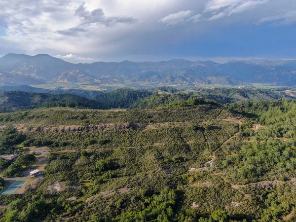 Yaz sezonunda Napa Vadisi 'nde ağaçlar ile yemyeşil tepelerin havadan görünümü. Napa Ilçesi, Californias şarap ülkesi, San Francisco Körfezi bölgesi 'nin Kuzey Körfezi bölgesinin bir parçasıdır. Bağ alanı.