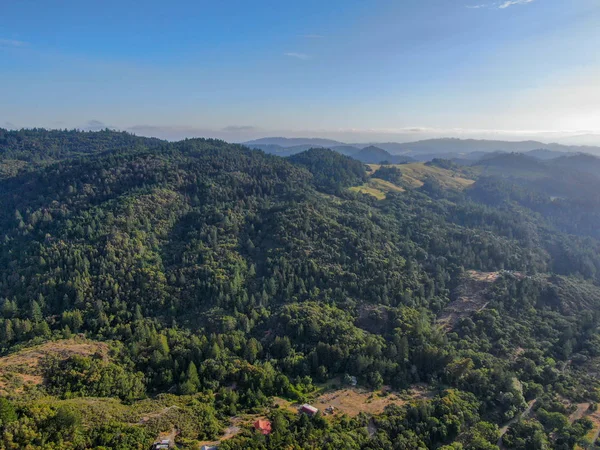 Vista Aérea Das Colinas Verdejantes Com Árvores Vale Napa Durante — Fotografia de Stock