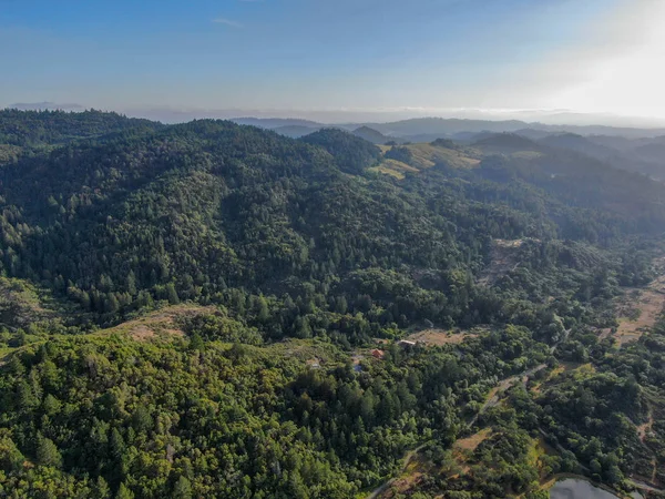 Vista Aérea Das Colinas Verdejantes Com Árvores Vale Napa Durante — Fotografia de Stock