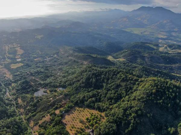 Vista Aérea Das Colinas Verdejantes Com Árvores Vale Napa Durante — Fotografia de Stock