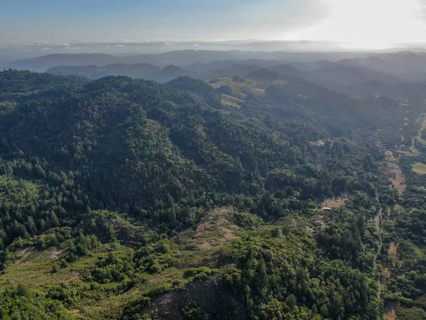 Vista Aérea Das Colinas Verdejantes Com Árvores Vale Napa Durante — Fotografia de Stock