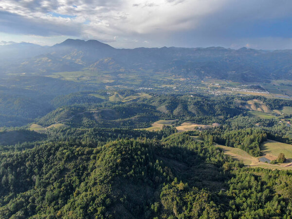 Aerial view of the verdant hills with trees in Napa Valley during summer season. Napa County, in Californias Wine Country, Part of the North Bay region of the San Francisco Bay Area. Vineyard area.
