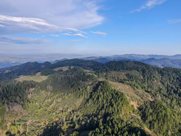 Yaz sezonunda Napa Vadisi 'nde ağaçlar ile yemyeşil tepelerin havadan görünümü. Napa Ilçesi, Californias şarap ülkesi, San Francisco Körfezi bölgesi 'nin Kuzey Körfezi bölgesinin bir parçasıdır. Bağ alanı.