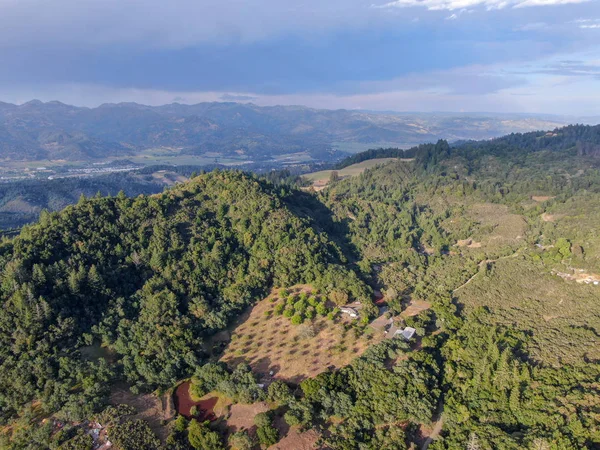 Vista Aérea Las Verdes Colinas Con Árboles Valle Napa Durante — Foto de Stock